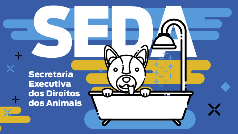 Você Sabia?
